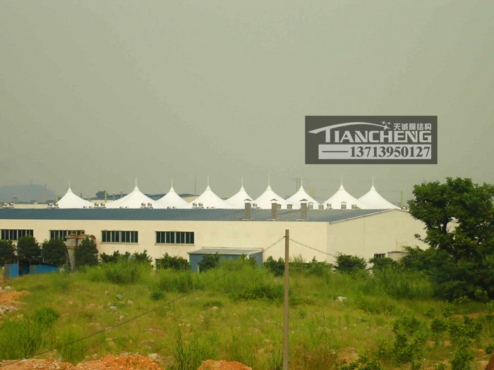 商业工厂膜结构  06