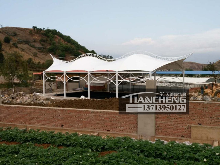 游泳池膜结构 01