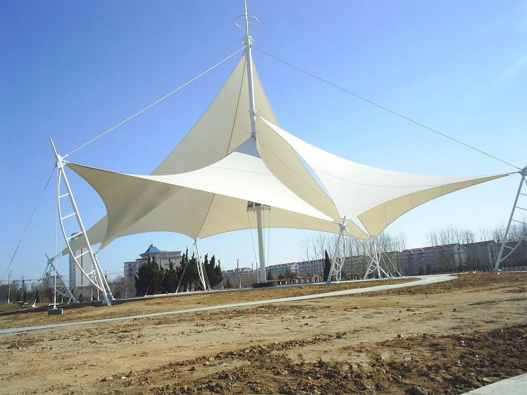 膜结构的典型形式有哪些？